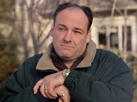 James Gandolfini's rolex was 'stolen by paramedic as he was dying'